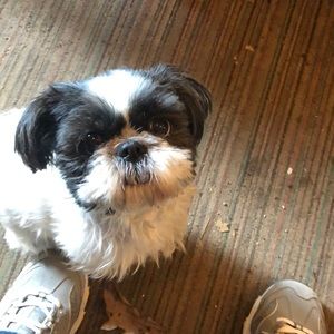 Meet your Posher, Annette